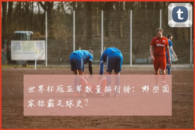 世界杯冠亚军数量排行榜:哪些国家称霸足球史?