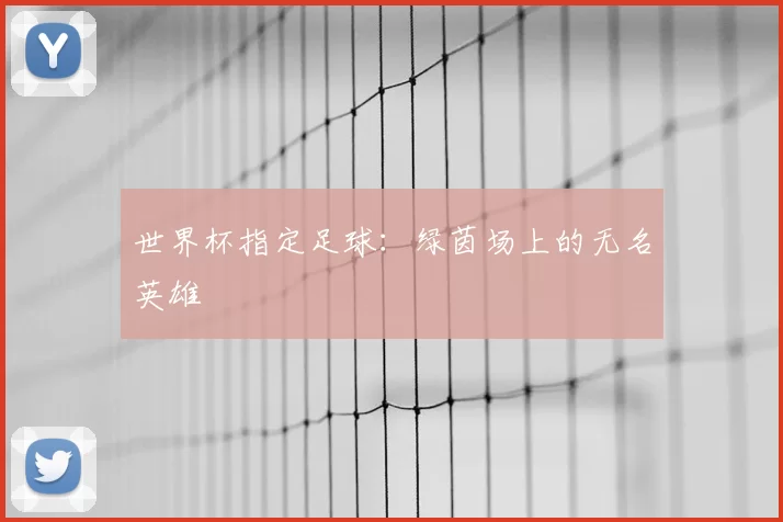世界杯指定足球:绿茵场上的无名英雄