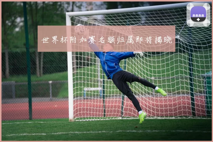 世界杯附加赛名额归属即将揭晓