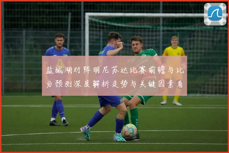 盐城湖对阵明尼苏达比赛前瞻与比分预测深度解析走势与关键因素看点