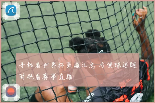 手机看世界杯渠道汇总 方便球迷随时观看赛事直播