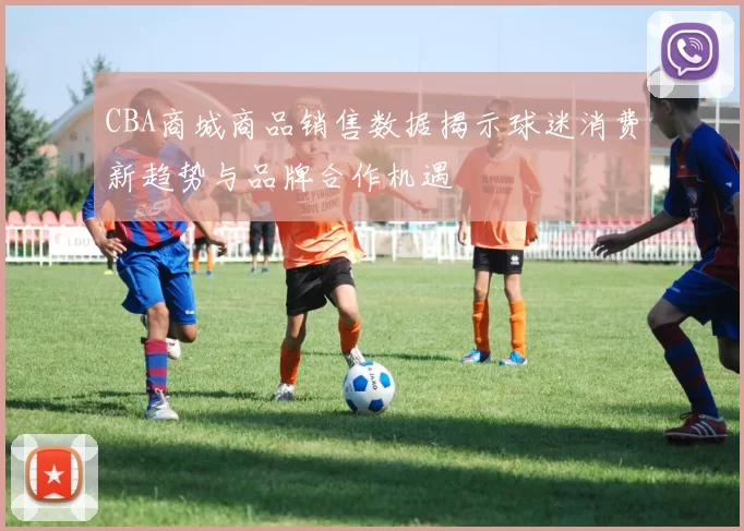 CBA商城商品销售数据揭示球迷消费新趋势与品牌合作机遇