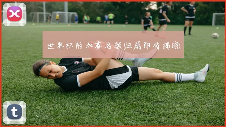 世界杯附加赛名额归属即将揭晓
