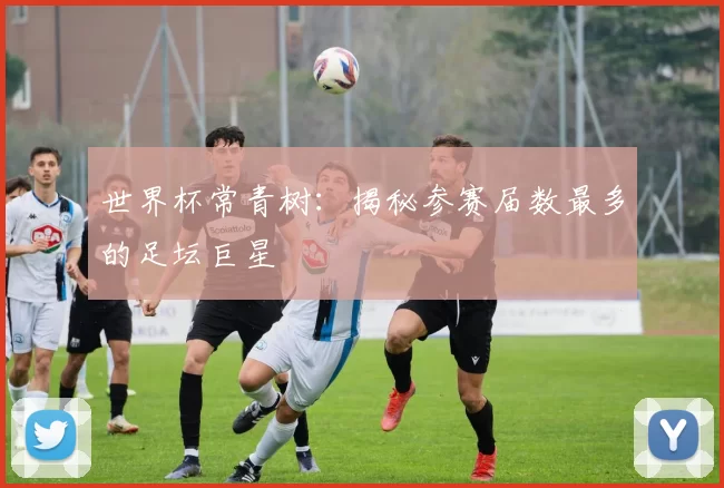 世界杯常青树:揭秘参赛届数最多的足坛巨星