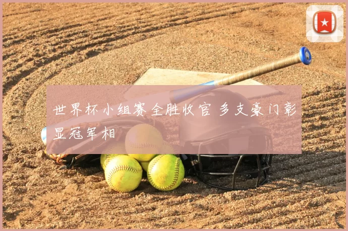 世界杯小组赛全胜收官 多支豪门彰显冠军相