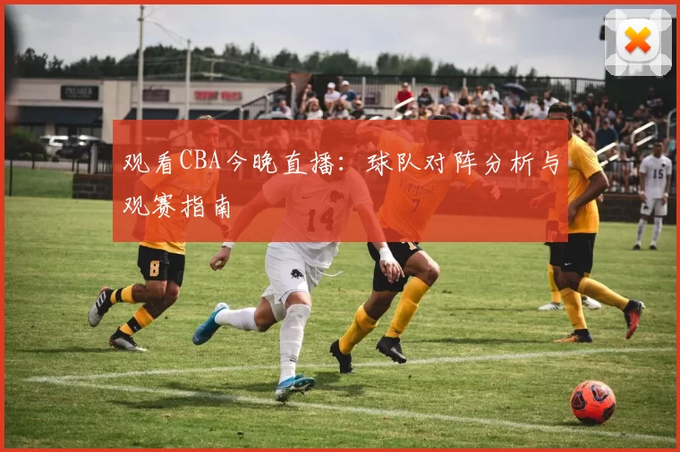 观看CBA今晚直播：球队对阵分析与观赛指南