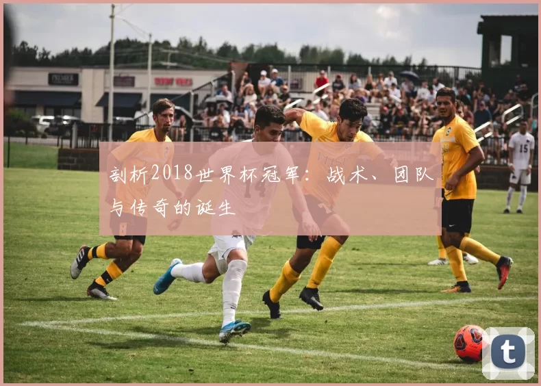 剖析2018世界杯冠军:战术、团队与传奇的诞生
